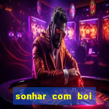 sonhar com boi branco jogo do bicho